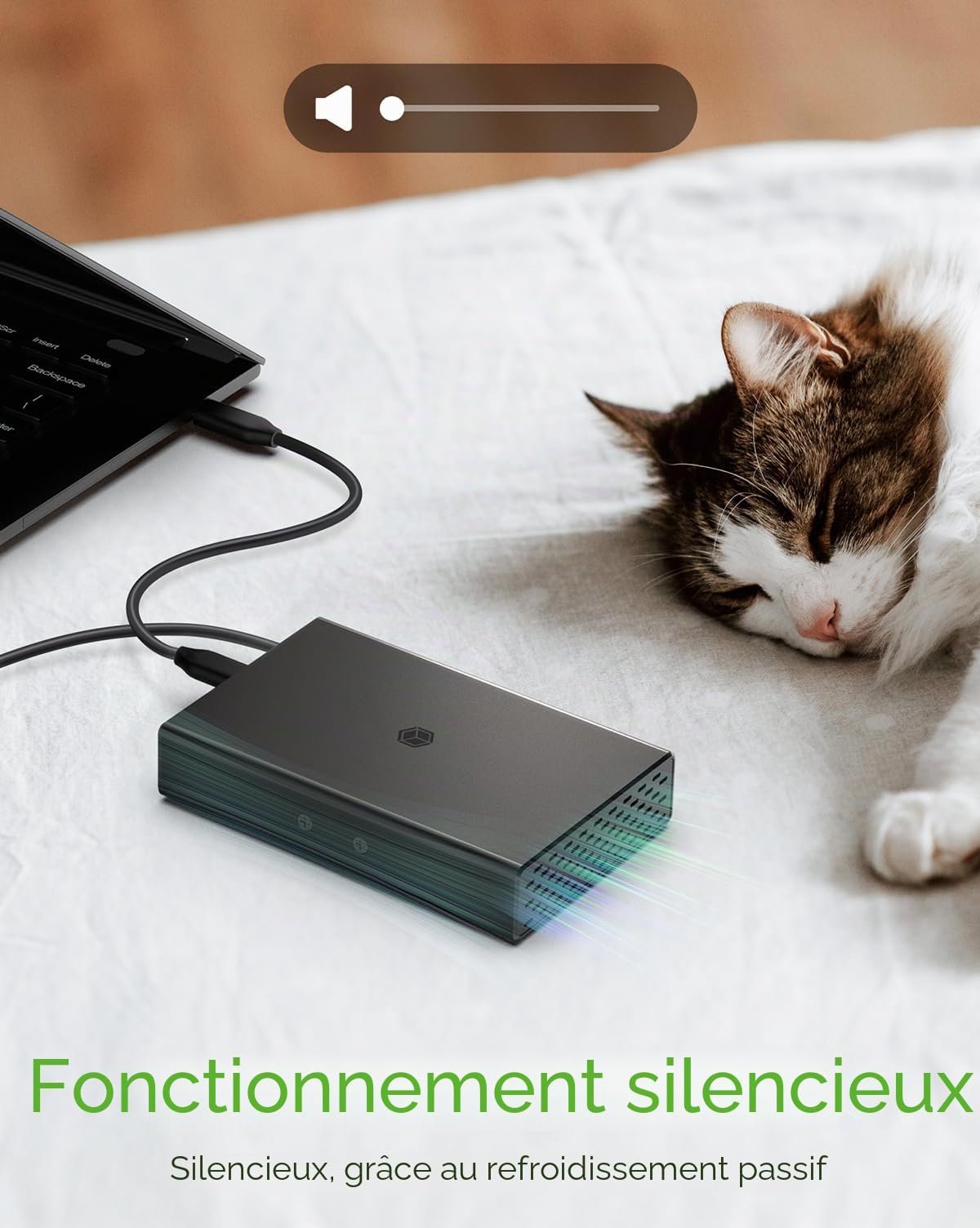 ICY Box Raid IB-RD2253-C31 Boîtier pour 2 disques SSD et HDD de 2,5", câble USB-C et USB-A, USB 3.1 Gen2 (10 GB/s), Aluminium, Noir,