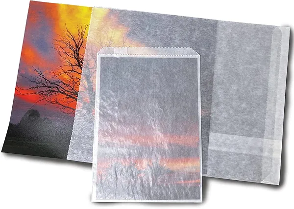 Lineco, Glassine Envelopes 8"x10'', Preserve Photos, Prints, Negatives. Grease Resistant, Store Stamps, Coins, Scrapbooking, Storage (Pack of 100)
