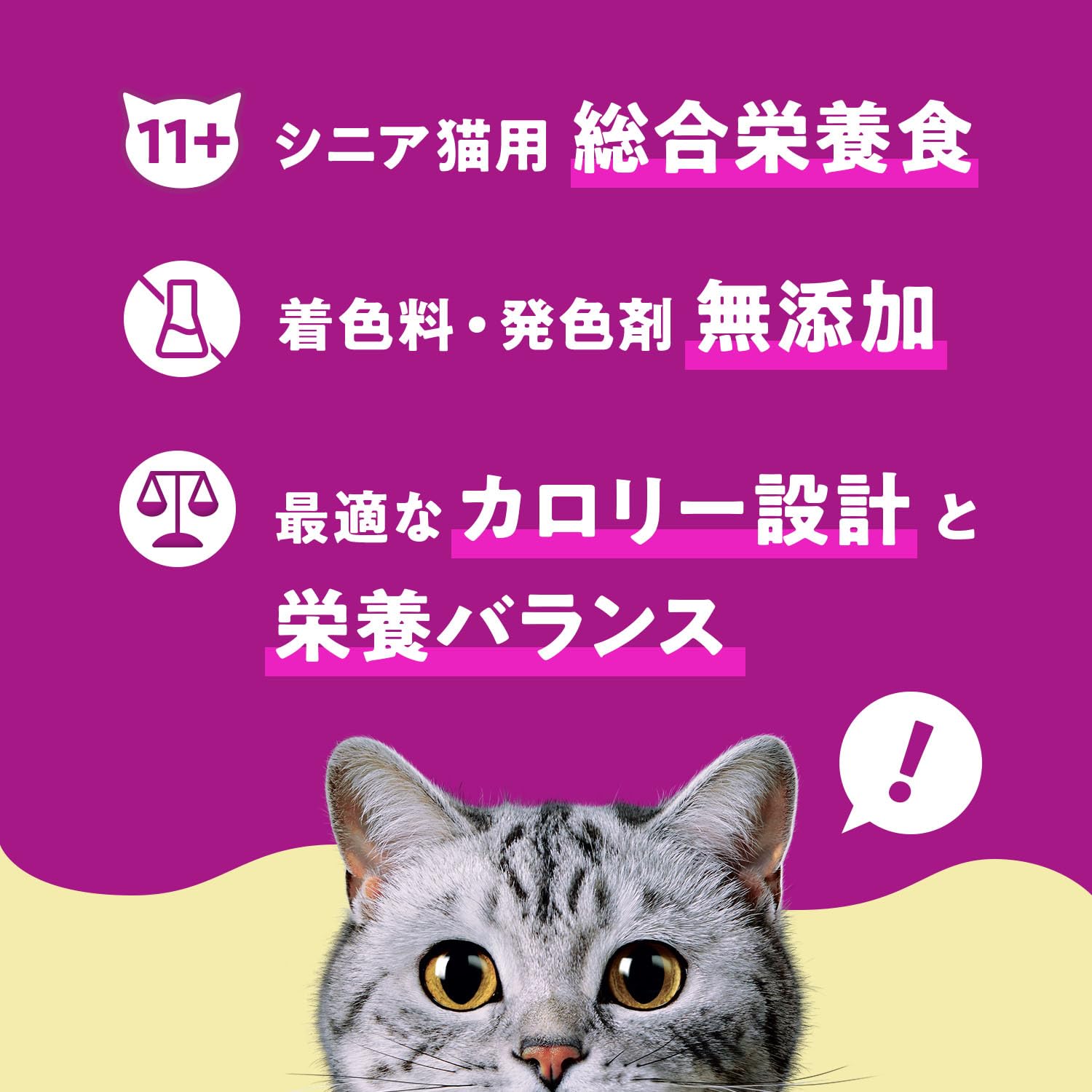 カルカン Kal Kan Pouch Paste, for Cats Aged 11 and Up, 60g x 12 Pouches, No Added Colorants or Preservatives, Savory Chicken and Sardine, Senior, Elderly, Soft Paste Wet Food, Cat Food, Complete Nutrition in use