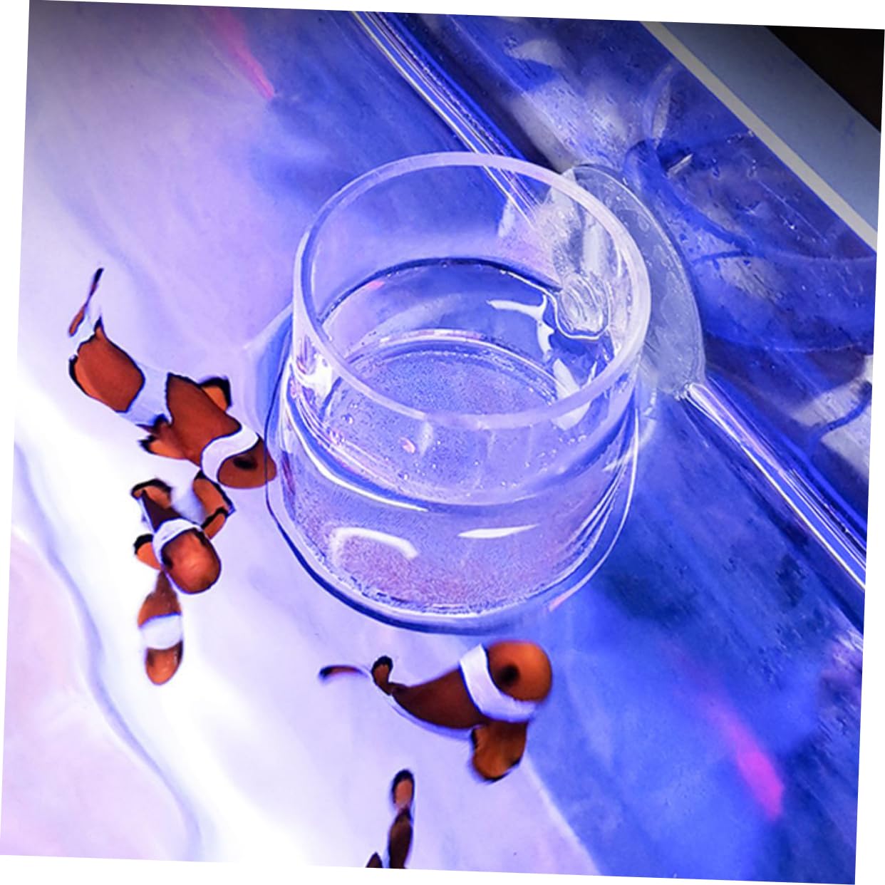 Happyyami 5stücke Fischfutterring Für Aquarien Netzdesign Fördert Gesundes Fressen Und Wachstum Aus Bruchsicherem Acryl Dekorativ Und Funktional Für Zierfische