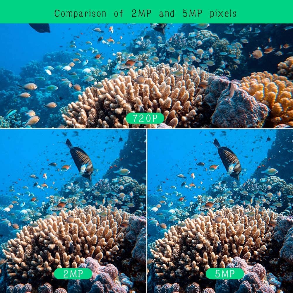 Barlus H.265 5MP POE Security Underwater Camera System with 1TB Hard Drive Pre-Install CCTV Underwater World Camera HD Surveillance Under Water Cameras Night Vision Easy Remote Access