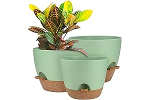 Self Watering Planters for Healthier Greenery: 3-Pack of Durable and Efficient Bottom Watering Plant Pots