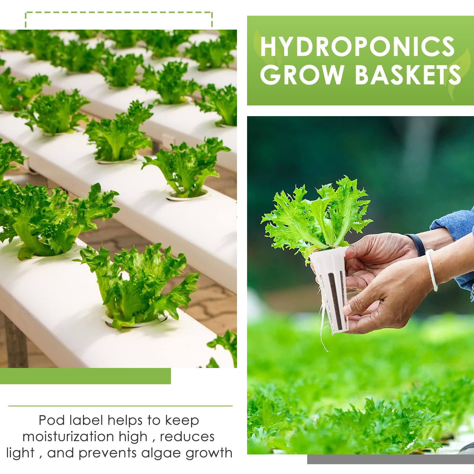 Kit de Cápsulas de Semillas para Aerogarden, Kit de Cultivo para Hidroponía, Kit de Cápsulas de Plantas A&B Fertilización de Plantas Sólidas con Cestas de Cultivo, Esponjas de Cultivo,(12 piezas)