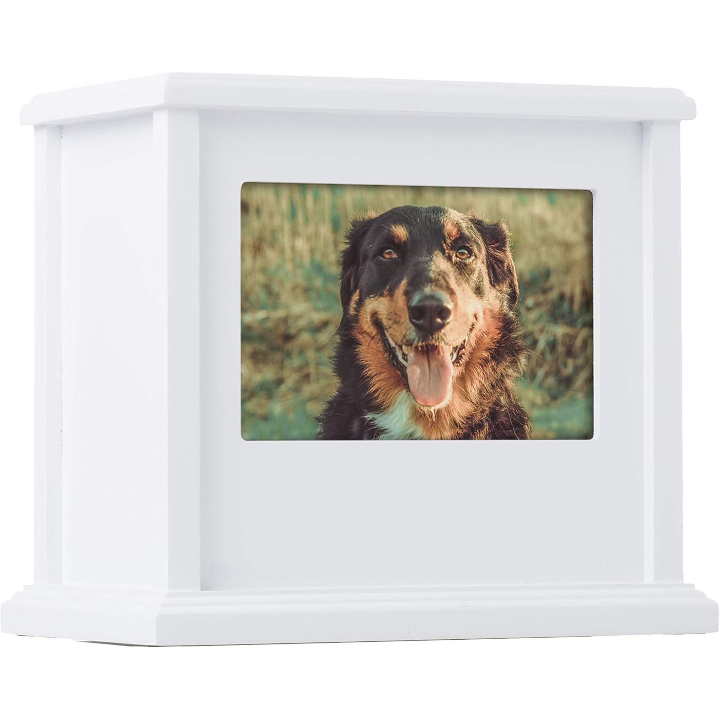 Gallery image 1