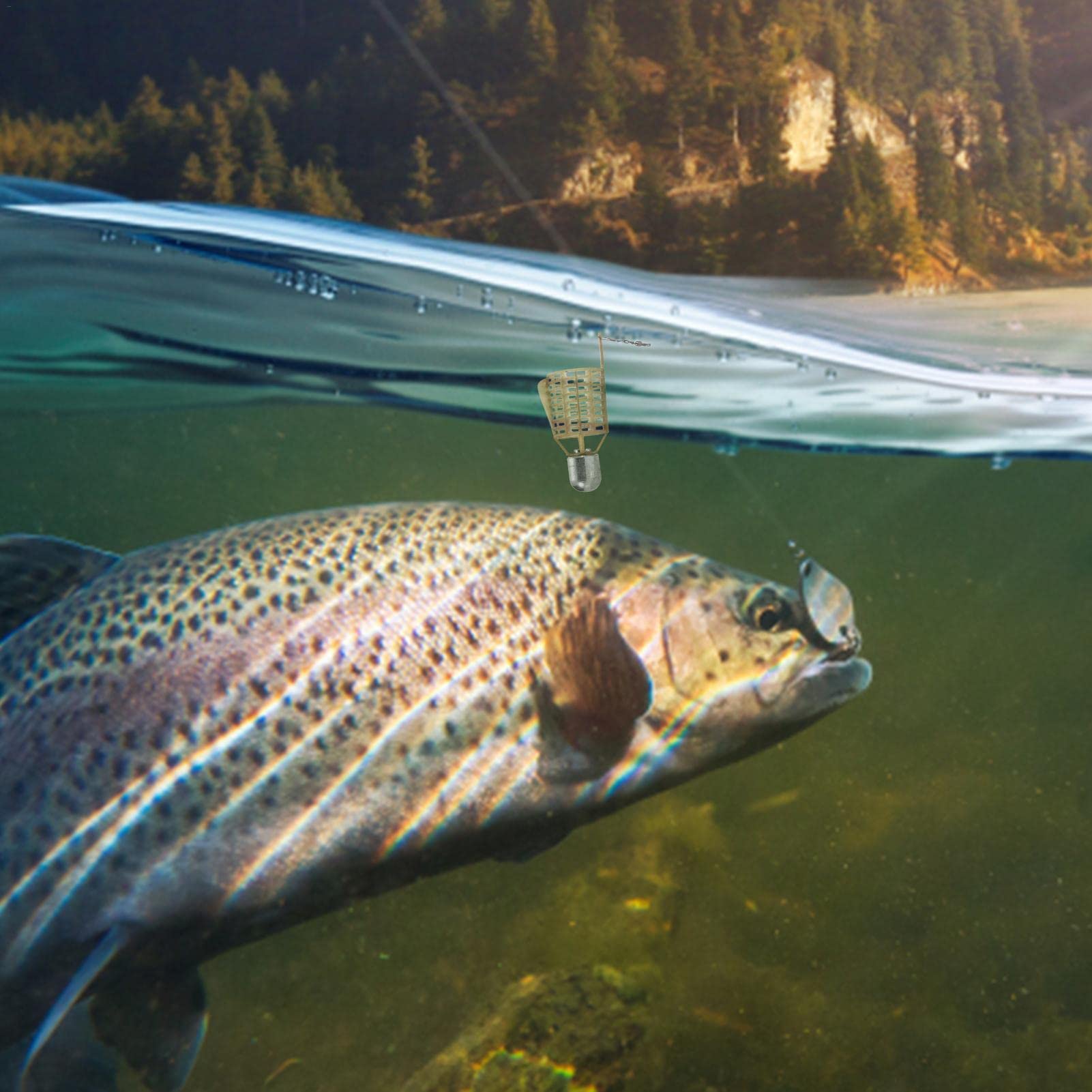WEITING Jaula de cebo de pesca, comedero de pesca de primavera, comedero de pesca de carpa, accesorios de pesca