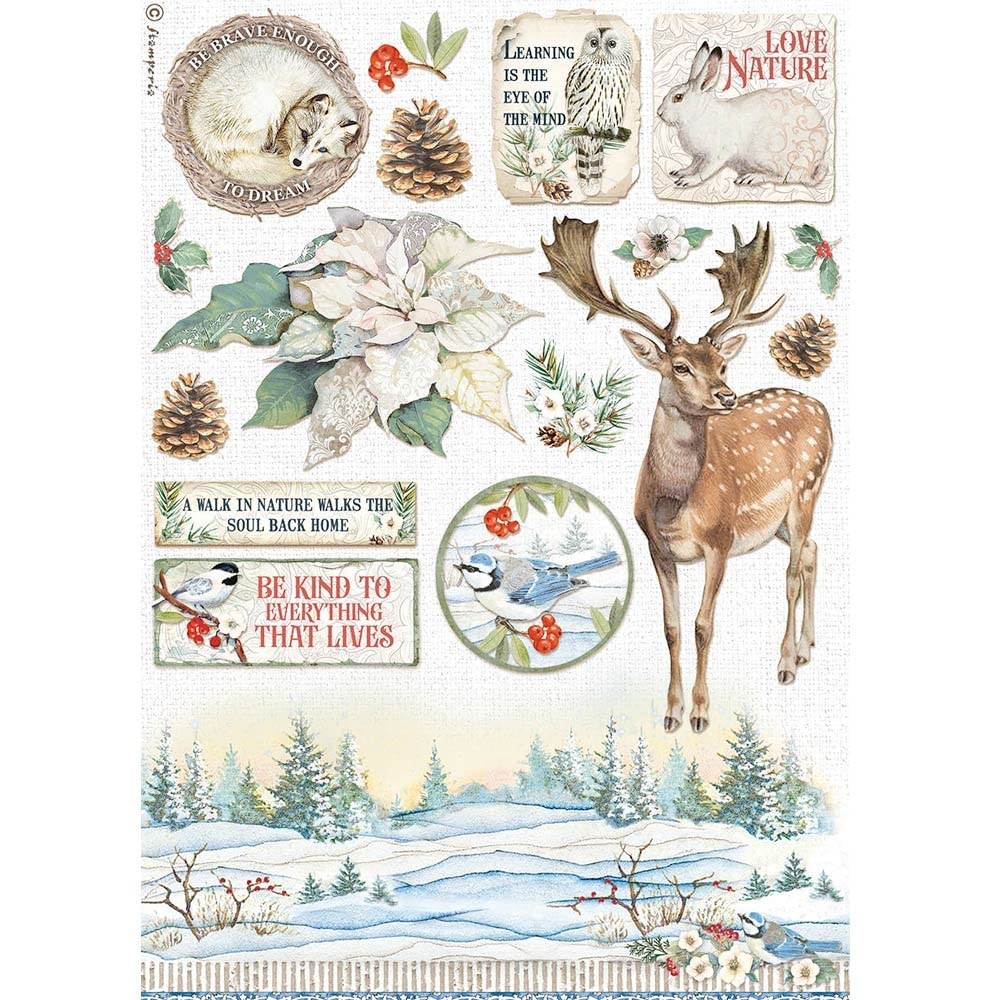 STAMPERIA INTL, KFT (3PL) Stamperia-Rice Paper-Winter Tales-Poinsettia, Blue, A4