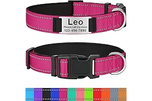 Reflective, Personalized Dog Collar with Slide-On Name Plate