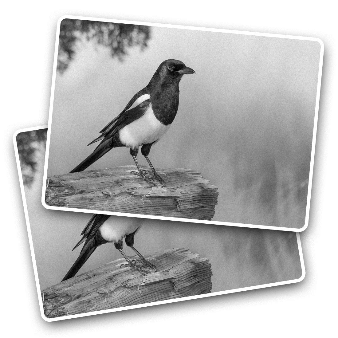 Destination Vinyl Ltd Multi 2 X 7.5Cm Rectangle Stickers - Magpie Bird Animals Birds Decals 41444