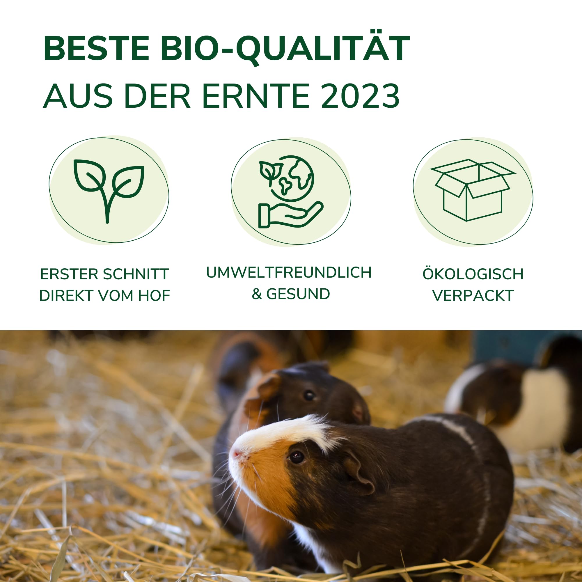 Natursache I frisches Heu aus Bioanbau - Gesunde Nahrung & Einstreu für Kaninchen, Meerschweinchen & Nager. Staubarm. Ideal für die Heuraufe