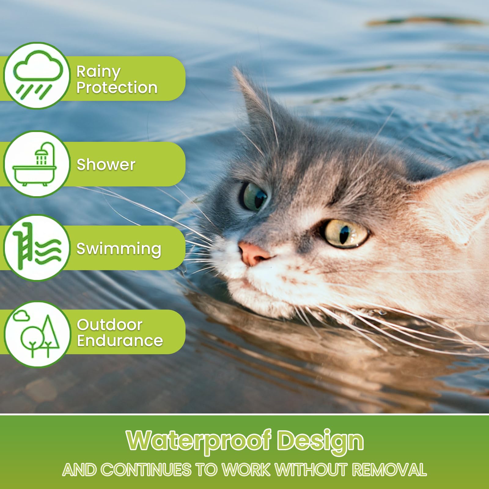 Verstellbares Katzenhalsband 2er Set mit natürlichen Pflanzenextrakten – Komfort & Langzeitpflege bis zu 16 Monate, Wasserfest, Leicht & Angenehm für Katzen ab 7 Wochen - 5