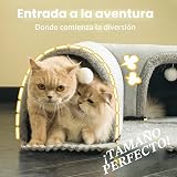 Ver la foto 5