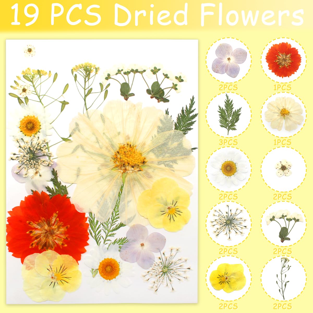 Cinvo 56 Pcs Real Dried Pressed Flowers and Leaves Natural Dried Petals Greenery with Tweezer for Candle Resin Jewelry Soap Nail Pendant Phone Case Crafts Making Floral Decors DIY Embellishments - Image 2