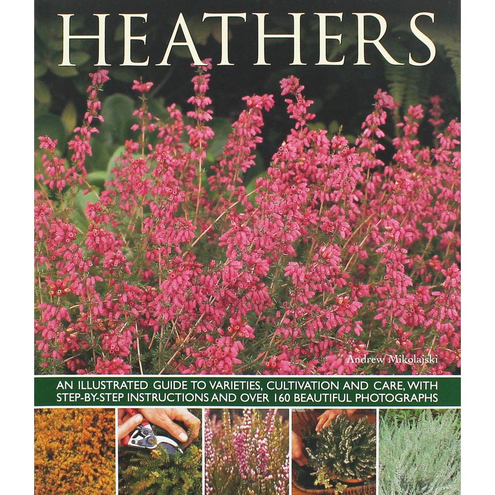 Heathers - 9781780192642
