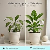 Vista 3 de LGL Globos de Riego para Plantas - Globos de Riego Automático. Insertos Decorativos para Macetas de Riego Automático. Picos de Riego Automático