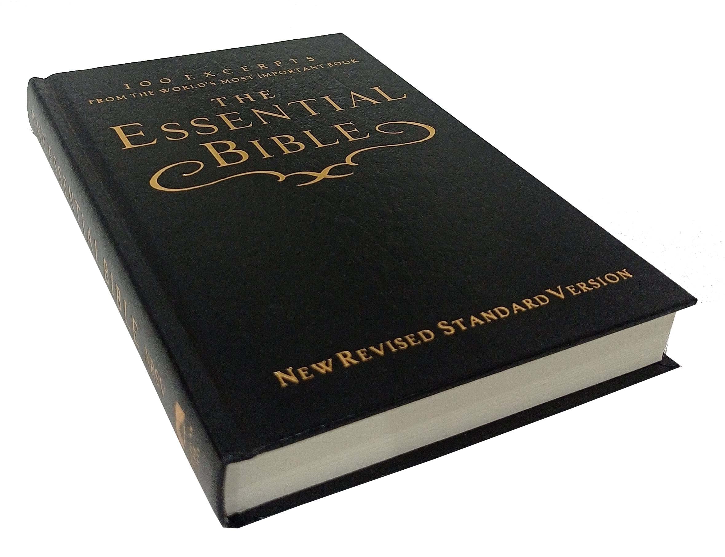 The Essential Bible NRSV (100 Excerpts from the word's most important book) Hardcover – January 1, 2003