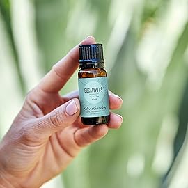 Edens Garden Eucalyptus Around The World Essential Oil- 100% Pure Premium Grade, Undiluted, Natural, Therapeutic, Aromatherapy, The Best for Diffuser, Candle, Laundry, Humidifiers 30 ml (1 fl oz)