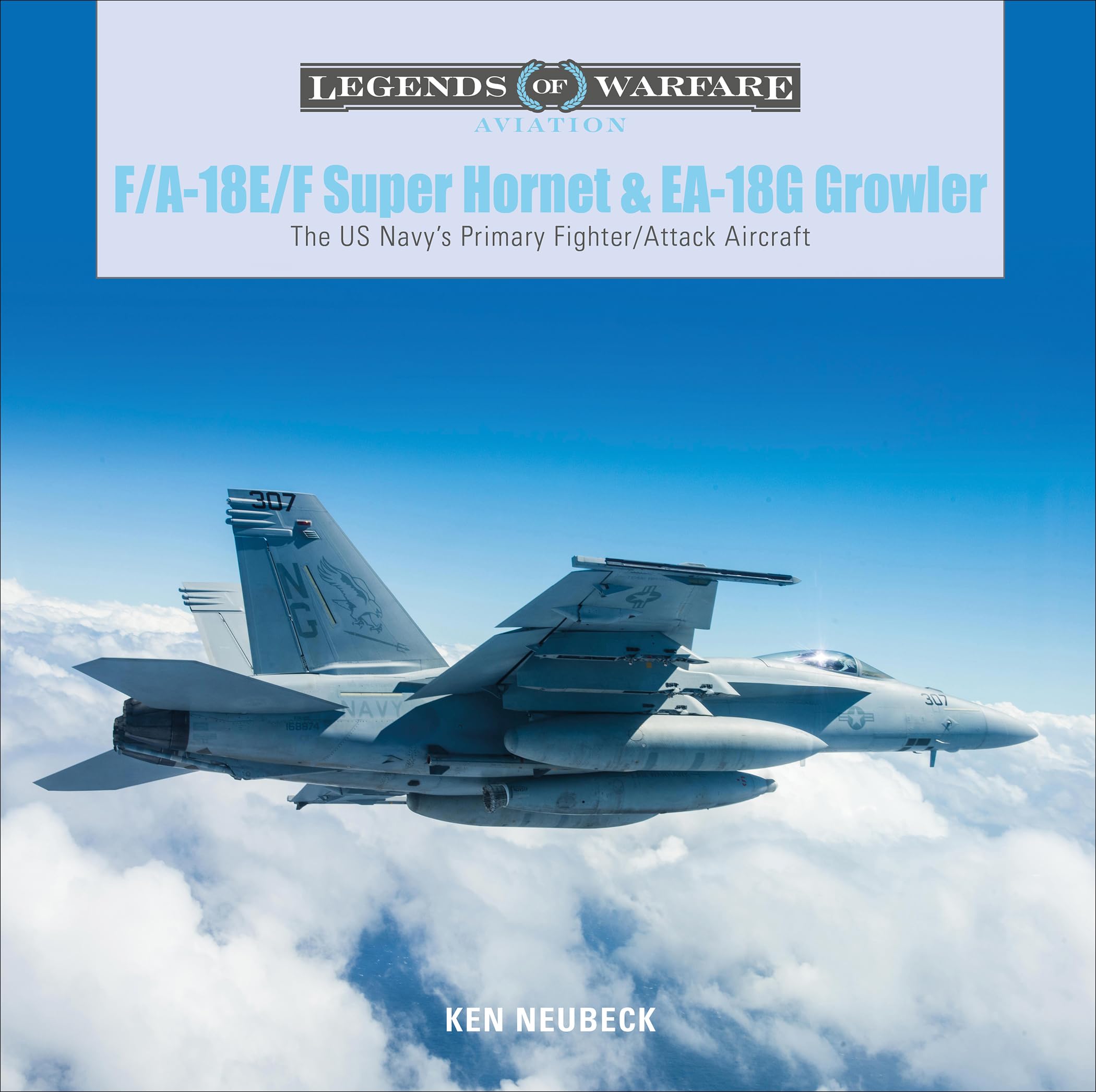 F/A-18E/F Super Hornet and EA-18G Growler: The US Navy's Primary Fighter/Attack Aircraft: 28 (Legends of Warfare: Aviation, 28)
