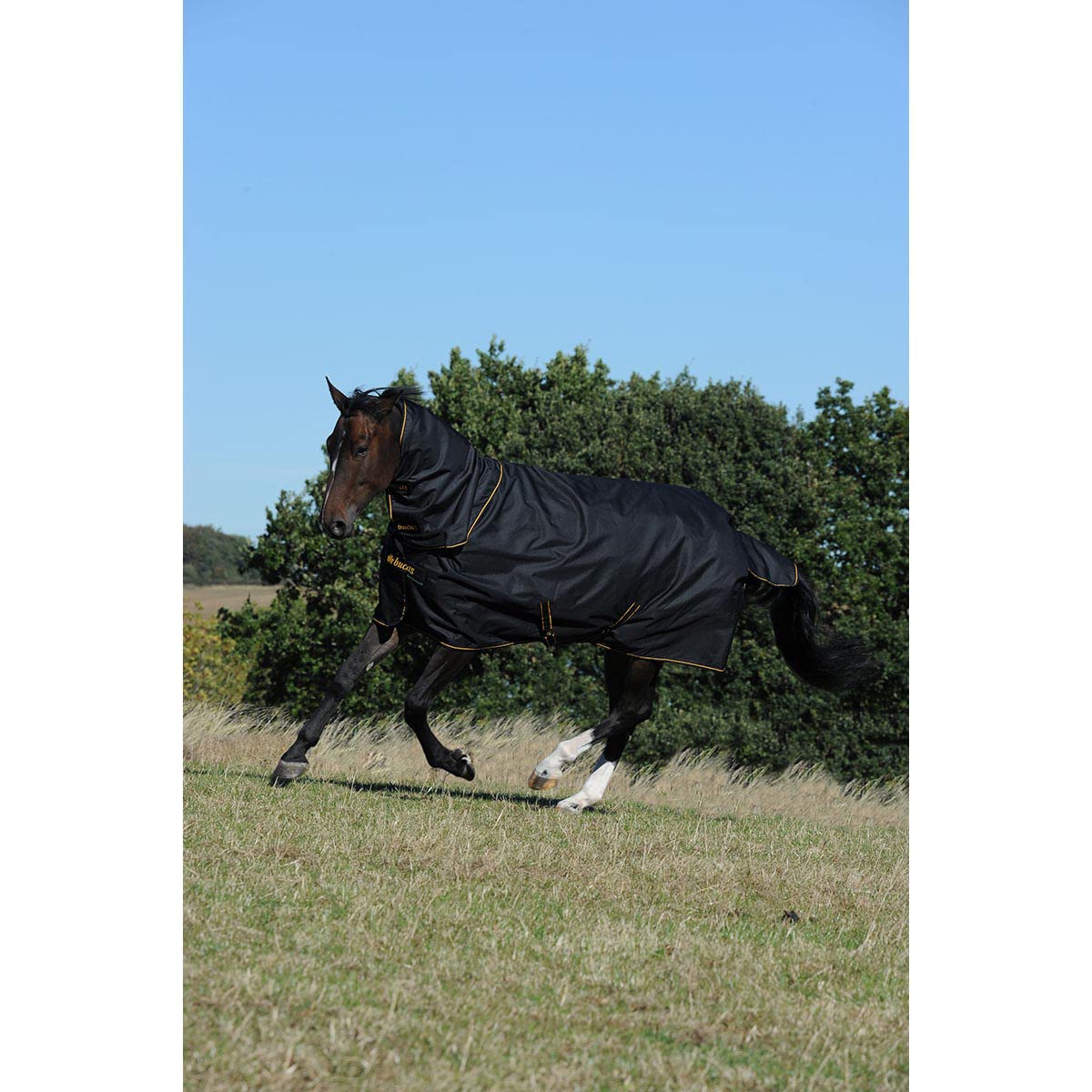 Bucas Irish Combi Neck 145/L Zwart/Goud, Halslijn