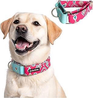 Dog-O-Bow Teal-Pink Aztec Martingale Dog Collar, Durable, Comfortable & Adjustable Training Collar (Medium)