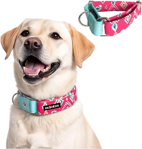 Dog-O-Bow Teal-Pink Aztec Martingale Dog Collar, Durable, Comfortable &amp; Adjustable Training Collar (Large)