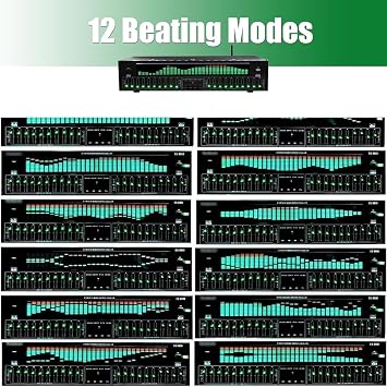 Digital Equalizer 31-Band Graphic Equalizer HiFi Audio Stereo EQ, 12 Rhythm Patterns, Double 10-Segment Tuning, LED Spectrum Display