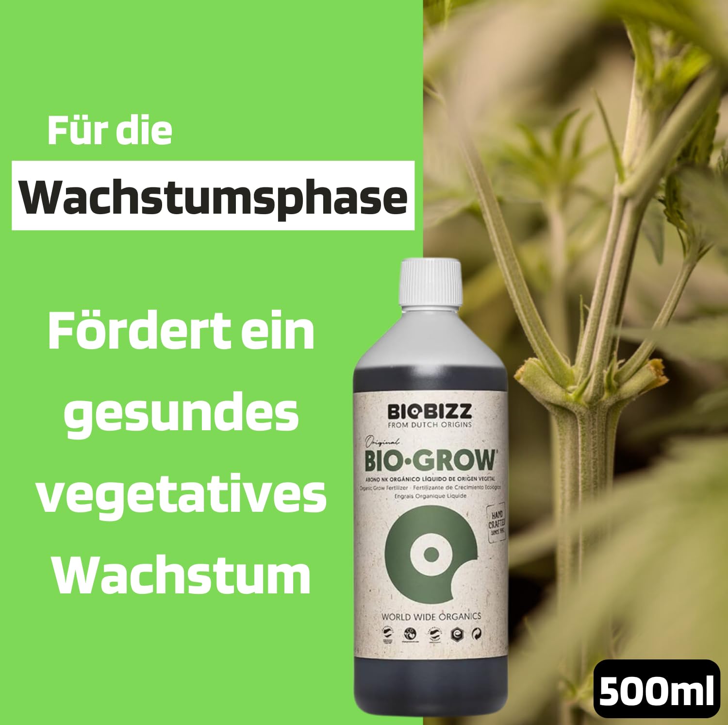 Starter Pack Biobizz Dünger Set | Starterset GrowSet Indoor | Naturdünger | Flüssiger | Wachstum und Blüte | 100 % organisch | Für 10–30 Pflanzen | Für Anfänger geeignet | Einfache Anwendung