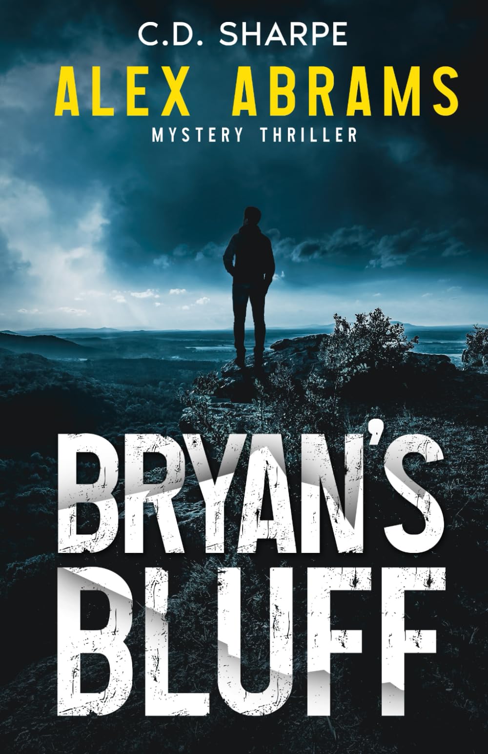 Bryan's Bluff (Alex Abrams Mystery Thriller Book 1)