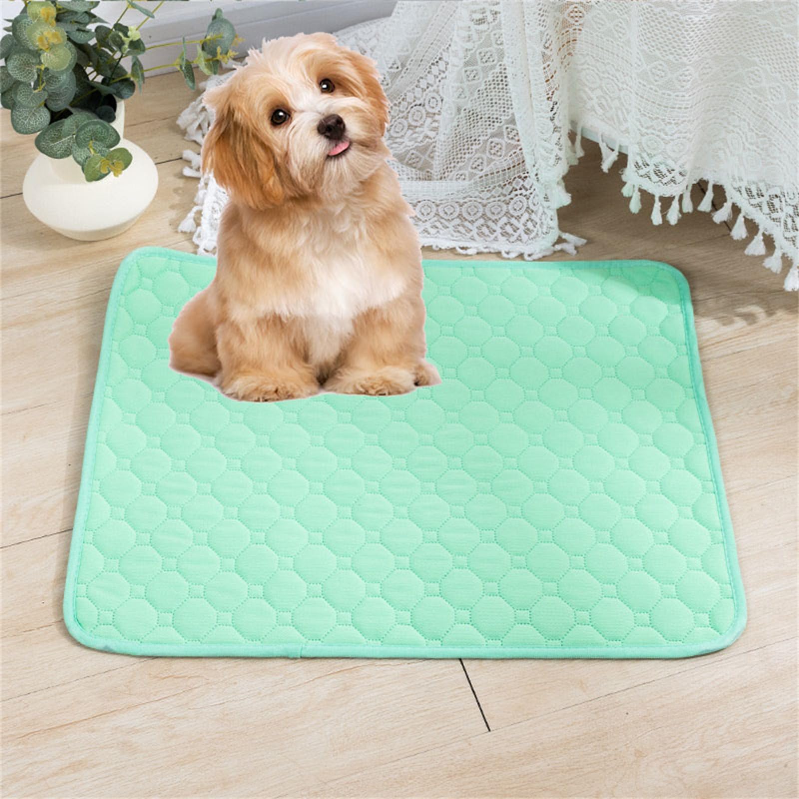 Lukery 2 Pack Washable Pee Pads for Dogs, Waterproof Reusable Dog Pee Pads Non-Slip Soft Pet Diaper Pads Fast Drying Puppy Training Pads for Home,Travel, Car (XL(100 * 70cm),Mint Green)