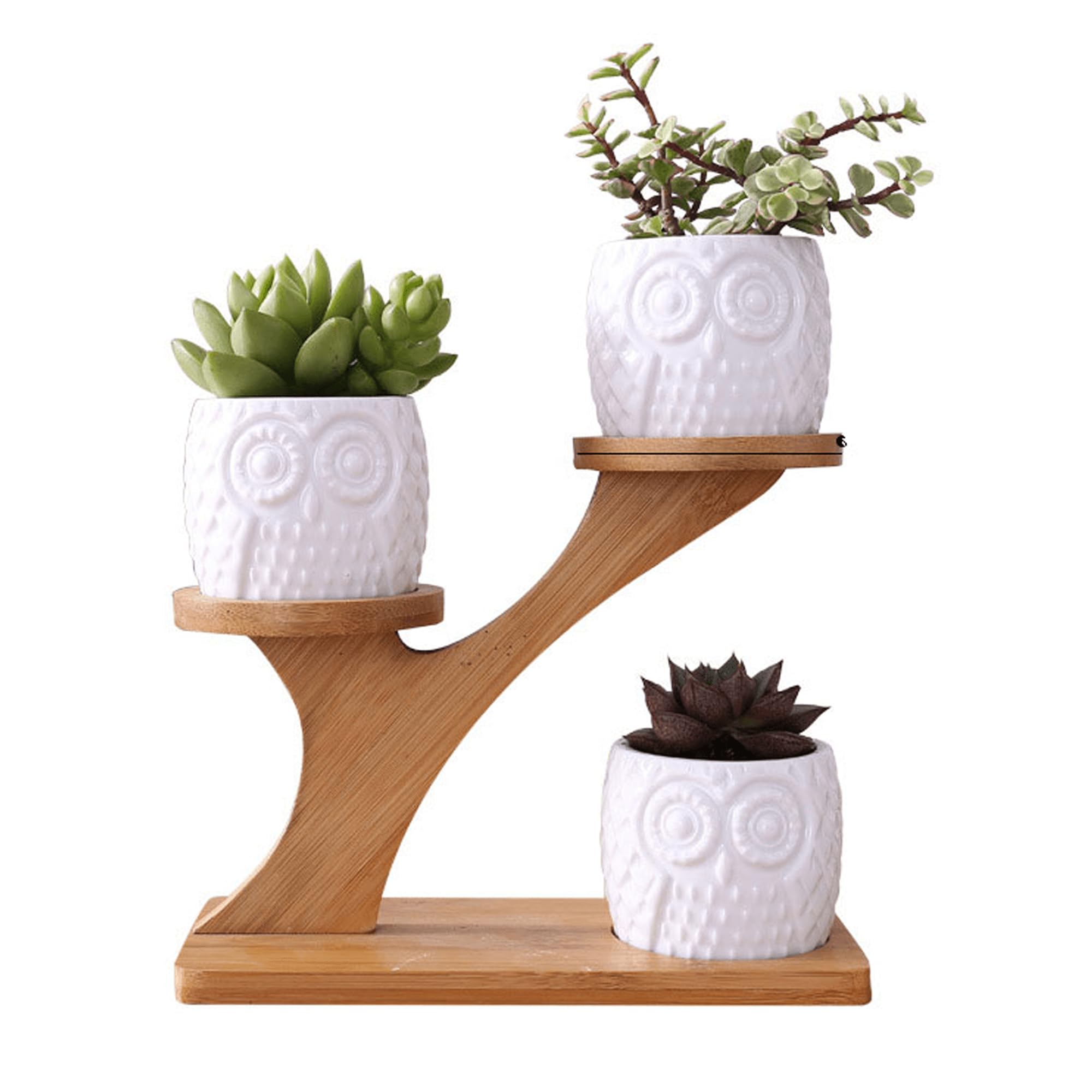 Simcat 3pcs Ceramics Succulent Pots with 3 Tier Bamboo Saucers Stand Holder,Ceramic Flower Planter Pot with Drainage