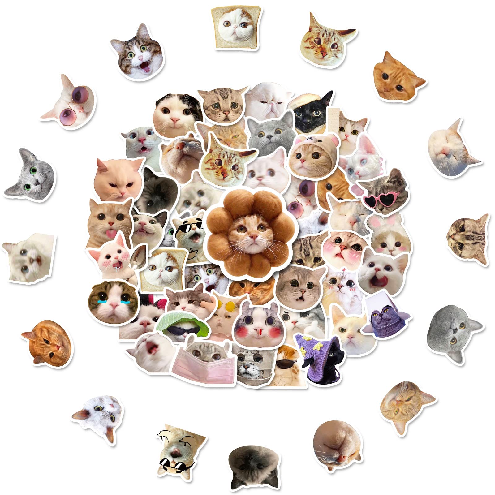 Funny Cat Stickers Set