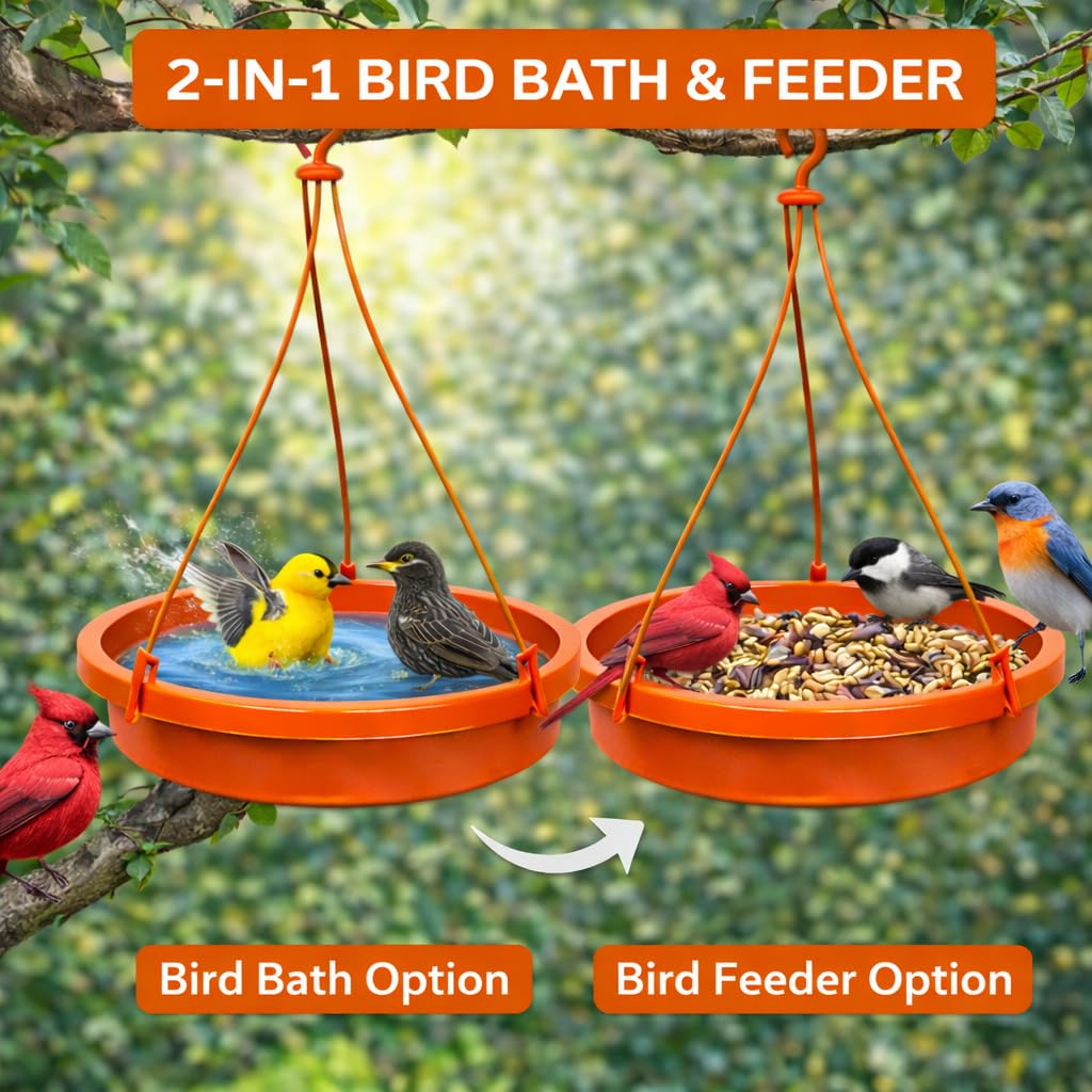 2 Bird Feeders & Bath - Balcony Garden -8