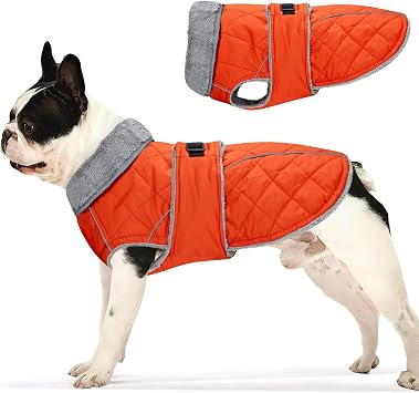 Dog Coat, Warm Dog Winter Coat for Medium Dogs, Waterproof Jacket with Adjustable Buckle & Velcro, Reflective Turtleneck Cold Weather Coats, Pet Fleece Vest Snow Jacket Orange, S