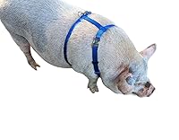 Vista 4 de Hand Made Newly Designed Pig/Hog Harness Longer Backstrap (Small 17" to 24", Lime Green)