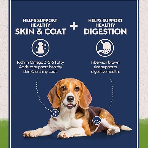 Miniatura 5 de Natural Balance Alimento seco para perros adultos de ingredientes limitados con proteína vegana a base de plantas y granos saludables, receta