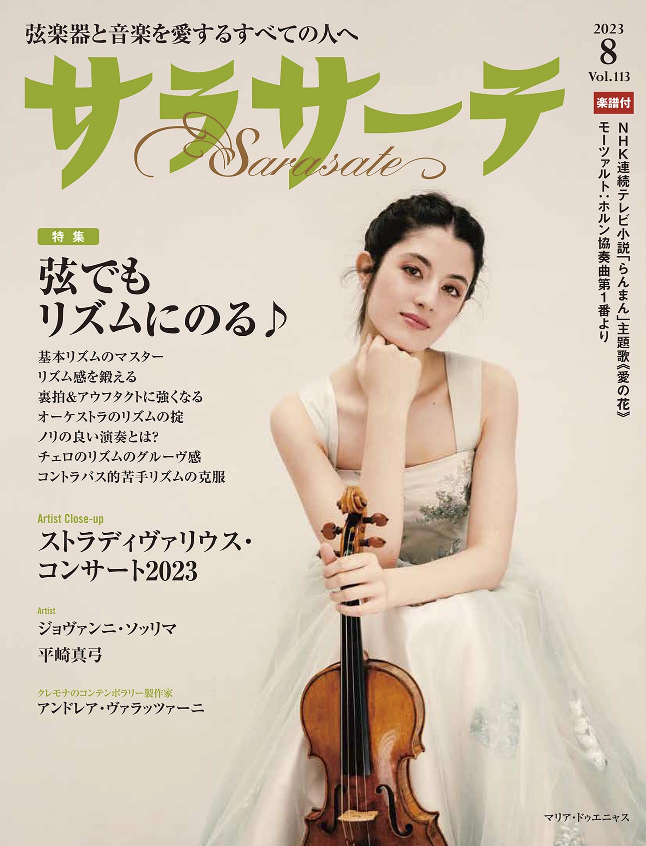 メンテ済み S SARASATE V-501 1998年 サラサーテ バイオリン 4/4 発表