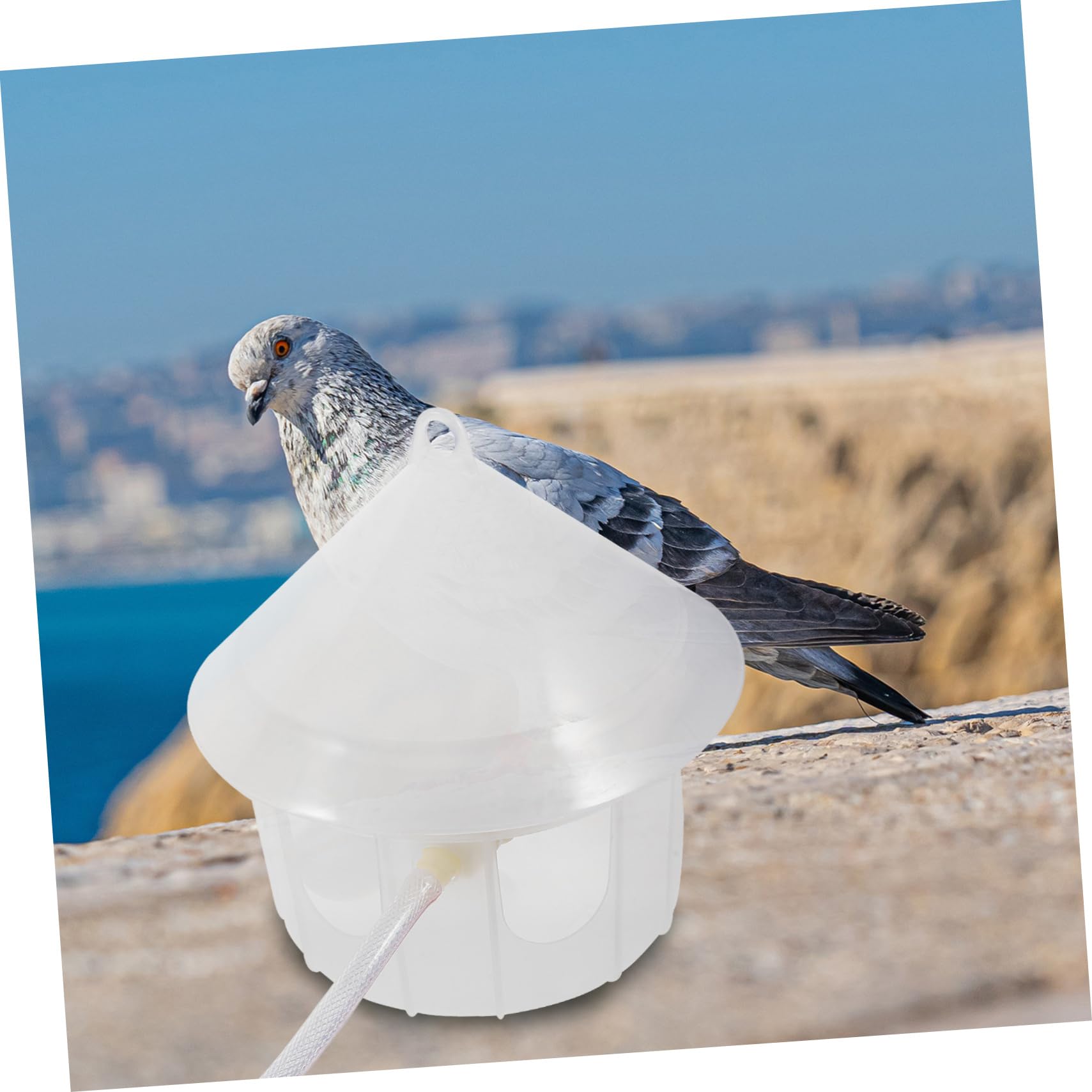 ORFOFE Dispensador Automático De Agua para Palomas Bebedero De Plástico para Aves Alimentador De Agua para Mascotas Sin Necesidad De Recarga para Palomas y Periquitos
