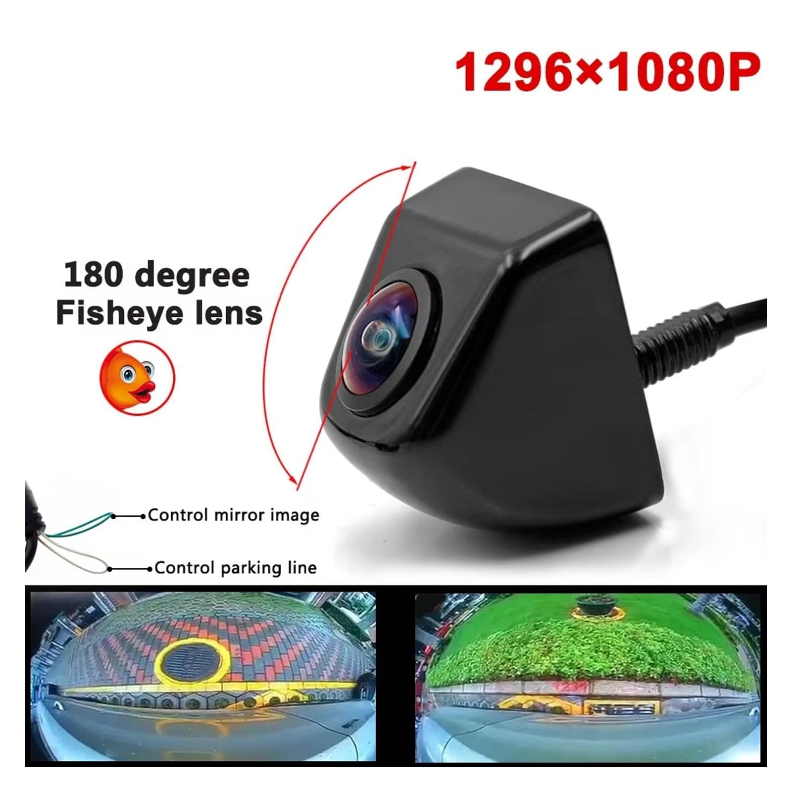 Retrocamera Auto CCD HD Obiettivo Fisheye 180 Gradi Telecamera Auto Vista Posteriore/frontale Telecamera Backup Grandangolare Visione Notturna 12V(CCD AHD 1080P)