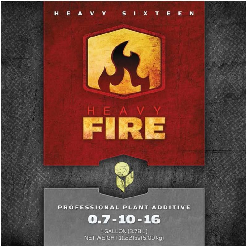 Heavy 16 Fire 2.5 Gallon (10L)
