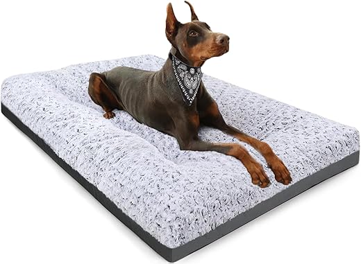 Dog Beds & Furniture
