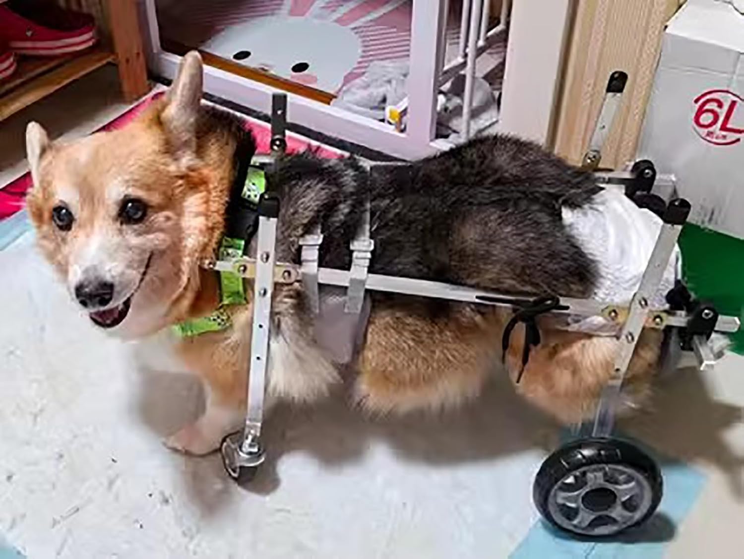Wózek inwalidzki dla psa 4 koła pies wózek inwalidzki pełne wsparcie dla zwierząt domowych wózek rehabilitacyjny dla niepełnosprawnych tylne przednie nogi małe średnie duże koło kota narzędzia