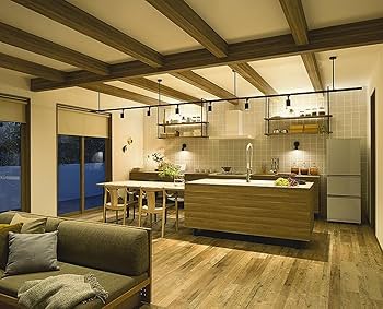 Amazon | ダイコー LEDスポットライト ブラック【ダクトレール取付専用