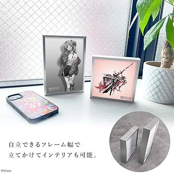 Amazon.co.jp: 【RADIOEVA公式】エヴァンゲリオン新劇場版 額装