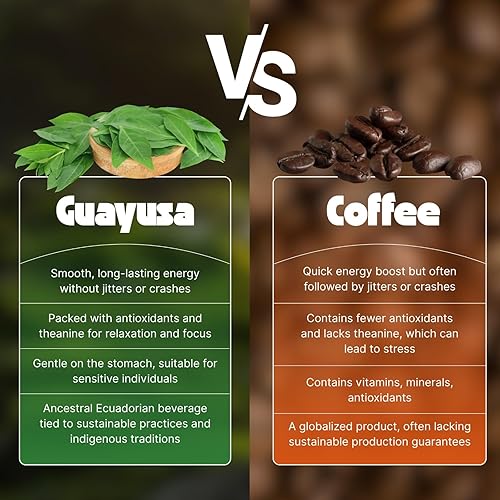 Miniatura 3 de NooKoo - Té orgánico de hojas sueltas de guayusa de 16 onzas, energía limpia y enfoque, 60 mg de cafeína natural, impulso suave y sin nerviosismo,