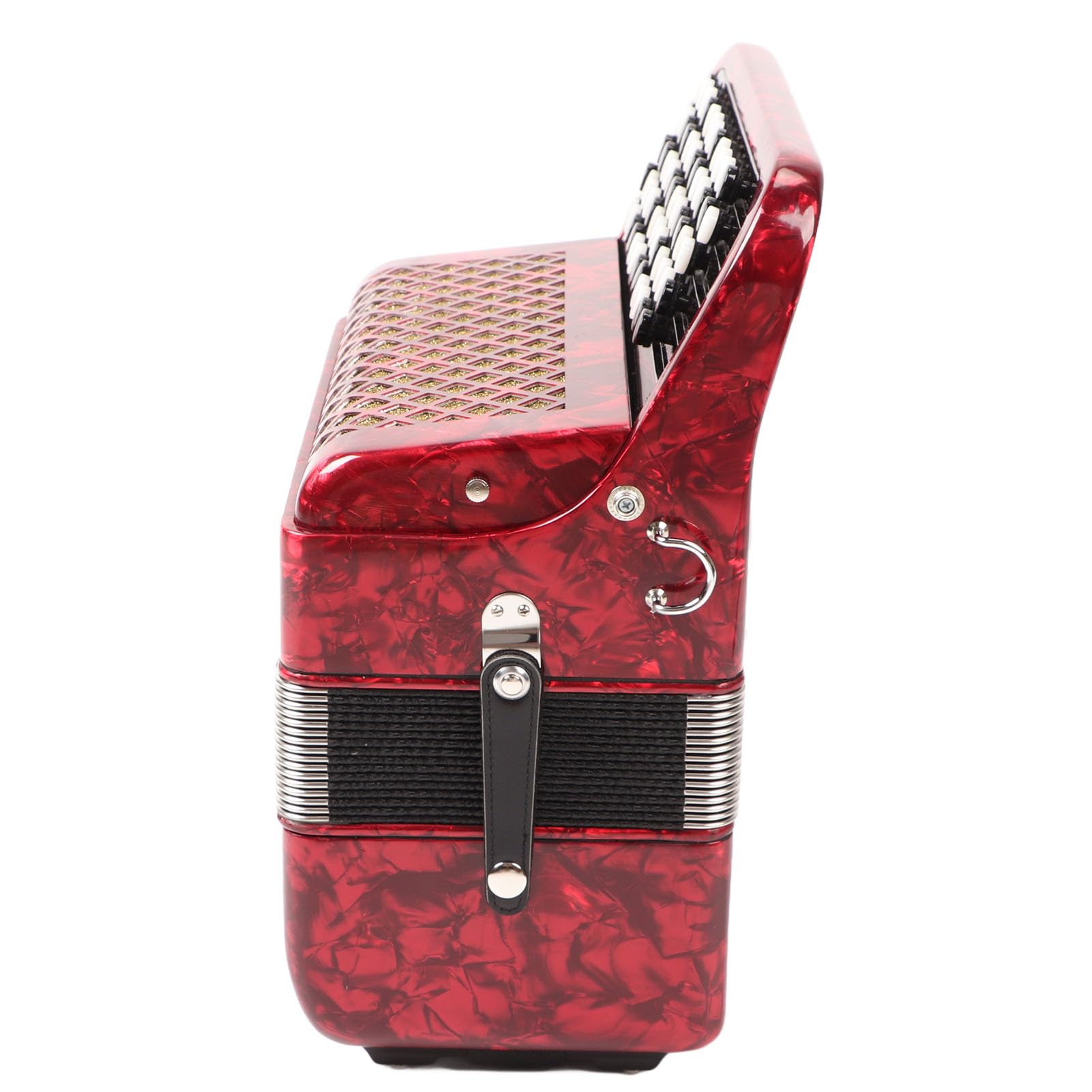 CHICIRIS Strumento per Fisarmonica, Materiale ABS con 62 Tasti, 60 Pulsanti per Bassi per Principianti e Professionisti, Zaino Musicale Portatile Incluso