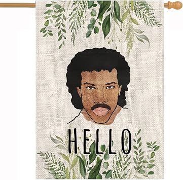 Hello Funny House Flag Vertical Double Sized Personalized Flag Seasonal Home Yard Outdoor Decoration 28 x 40 Inch
