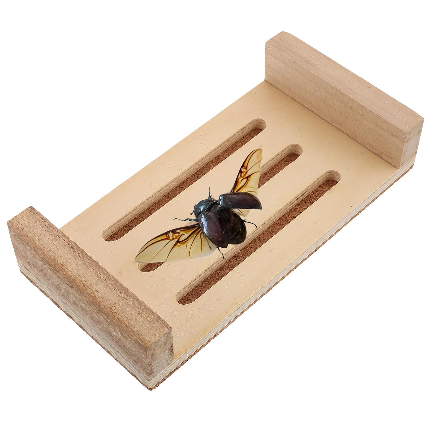 Wooden Butterfly Specimen Display Pinning Board and Large Storage Capacity with Multifunctional Design Elegant Beige Specimen Mounting Tool for Displaying Specimens and Making