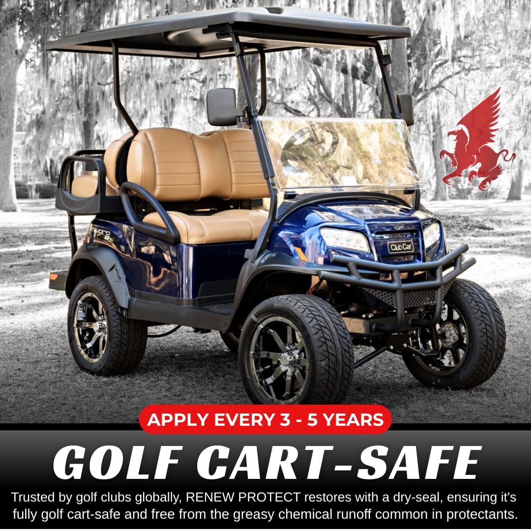 Renew Protect - Blak - Protector híbrido de cerámica de Sellado seco de 16 onzas - Motocicleta, Carrito de Golf, Seguro para caravanas - Trim, Tratamiento semibrillante y conservación de neumáticos,