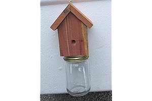 Amish-Made Rustic Carpenter Bee Trap