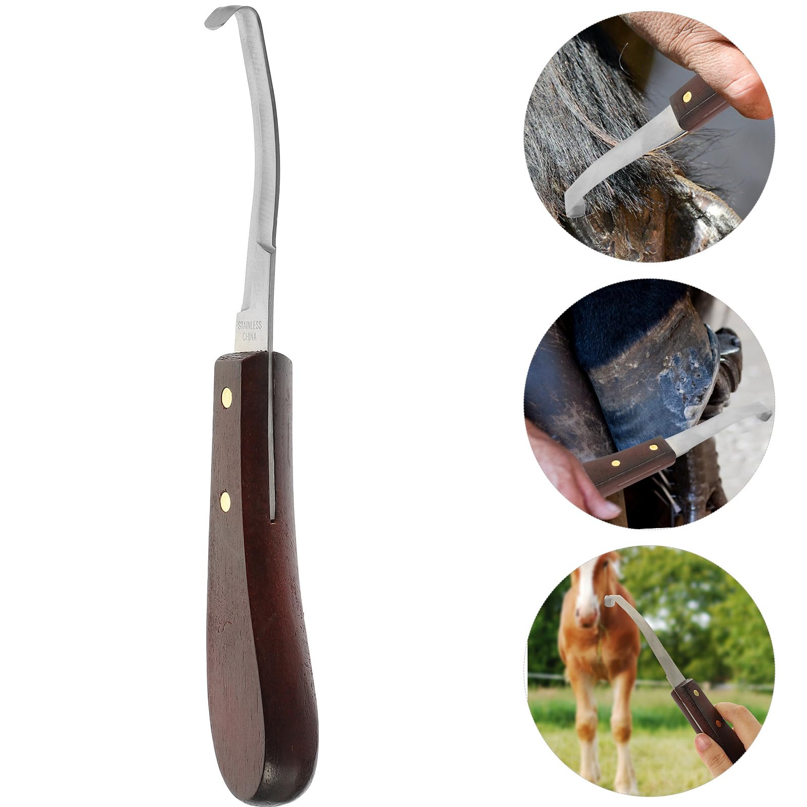 Couteau à Sabot Design Ergonomique en Acier Inoxydable Résistant à l'usure et en Bois et Parrage Précis pour Usage Quotidien
