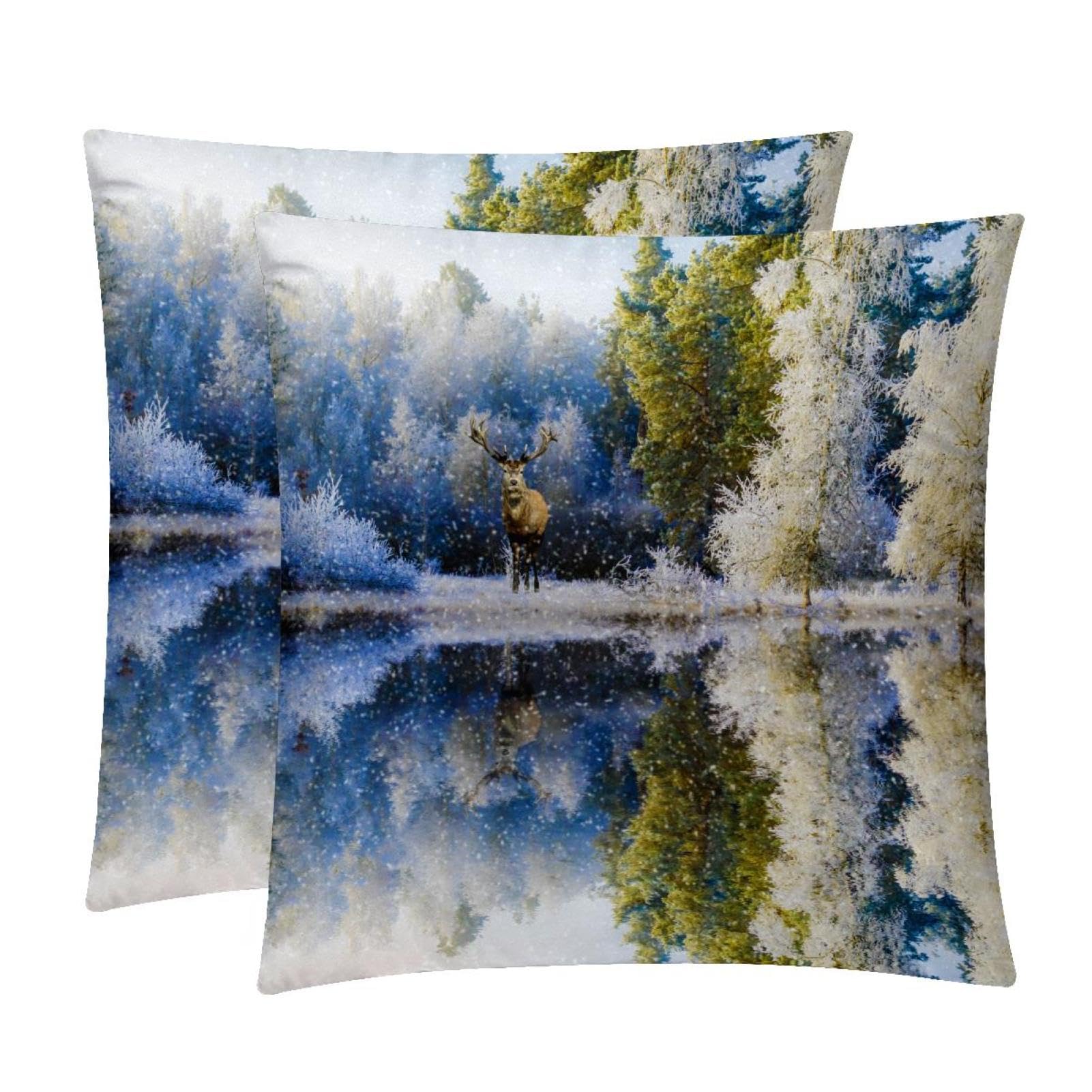 TDGKPZ Winter Throw Pillow Cases 2 Pack Pillowcases Zipper Cushion Covers For Bedroom Living Room 45x45cm